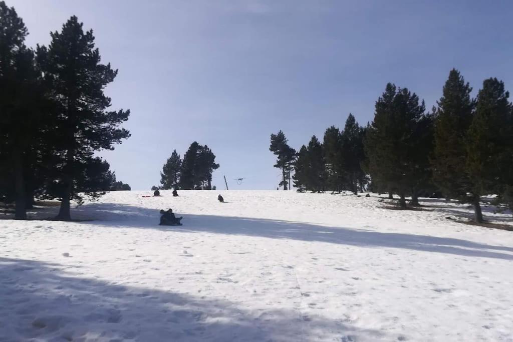 AviáEl Niuet De Cal Cacuet, La Teva Escapada Rural.アパートメント エクステリア 写真