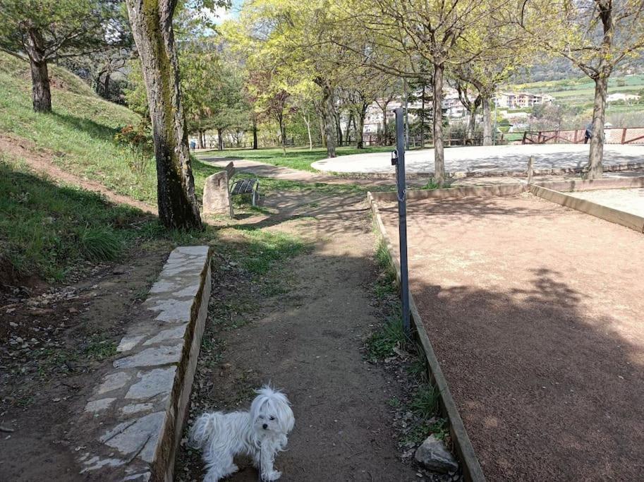 AviáEl Niuet De Cal Cacuet, La Teva Escapada Rural.アパートメント エクステリア 写真
